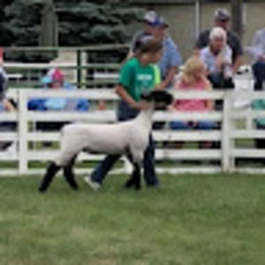 Meet your Posher, Jaelyn